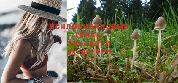 хмурый Нижневартовск