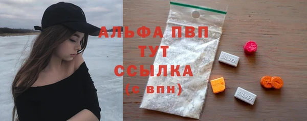 прущие грибы Болохово