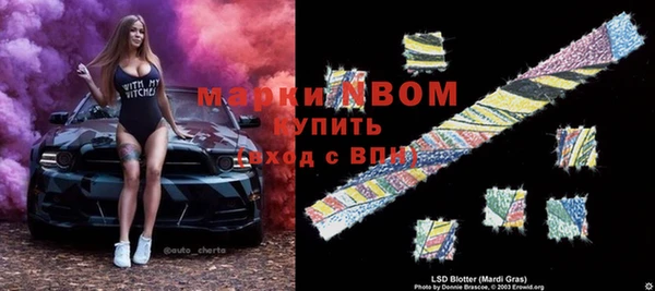 прущие грибы Болохово