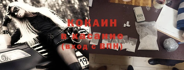 ПСИЛОЦИБИНОВЫЕ ГРИБЫ Болхов