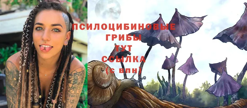 Галлюциногенные грибы Magic Shrooms  Александровск 